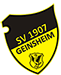 SV 07 Geinsheim e.V.